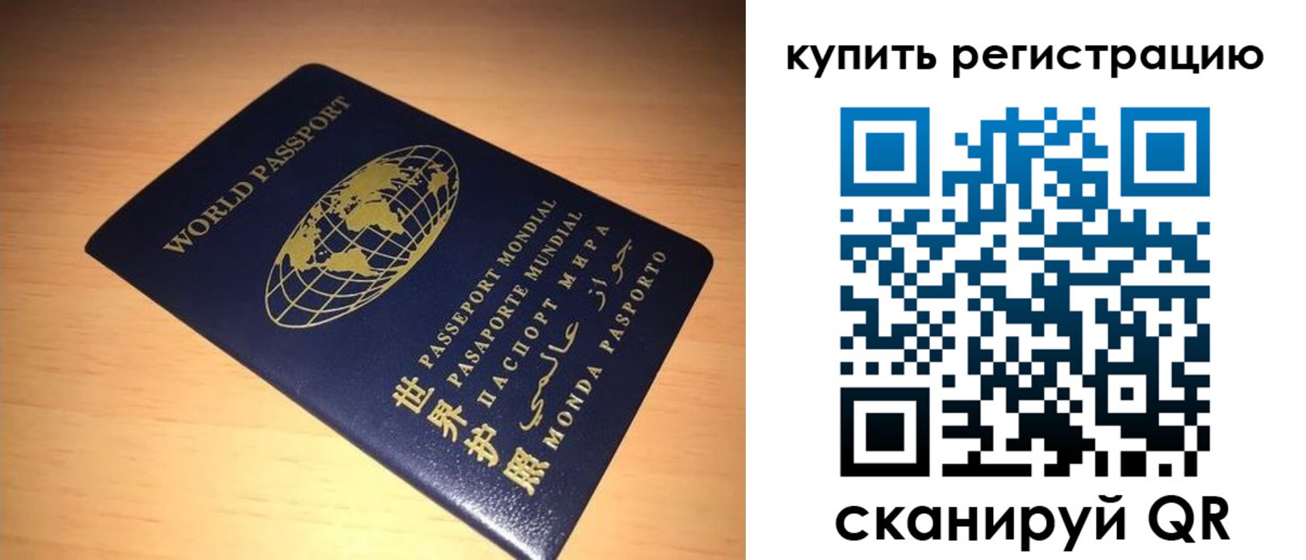 регистрация для школы в Лосино-Петровском